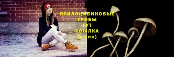 спиды Алзамай