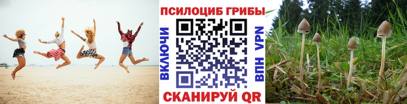 магазин продажи   Ужур  Псилоцибиновые грибы Magic Shrooms 
